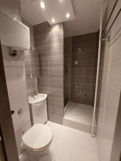 בודפשט Erzsebet Apartman, Free Parking מראה חיצוני תמונה